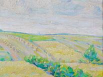 Landschap bij Havelte